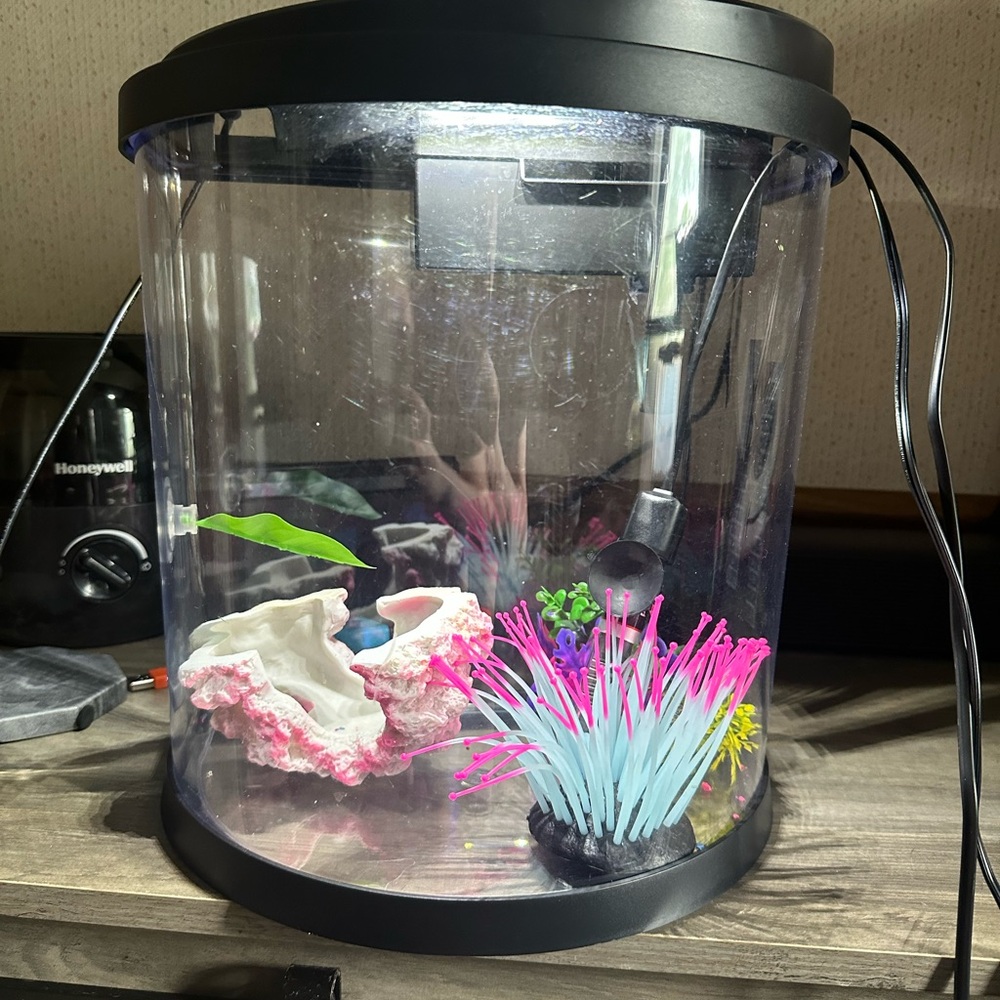 Aquarium Kit with Pink and Blue Decor